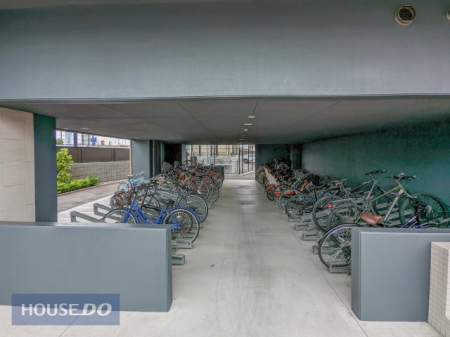  現地写真