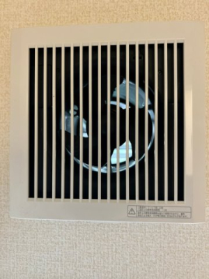 ���̑� ���C��i�ʐ^�͓��d�l�ʐ^�j