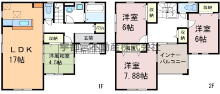  J̓SȍLXCi[oRj[Bڂłˁ