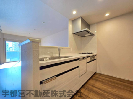 �L�b�`�� LDK�����n����Ζʎ��L�b�`���B�H��􊣑��@�E�f�B�X�|�[�U�[�����B