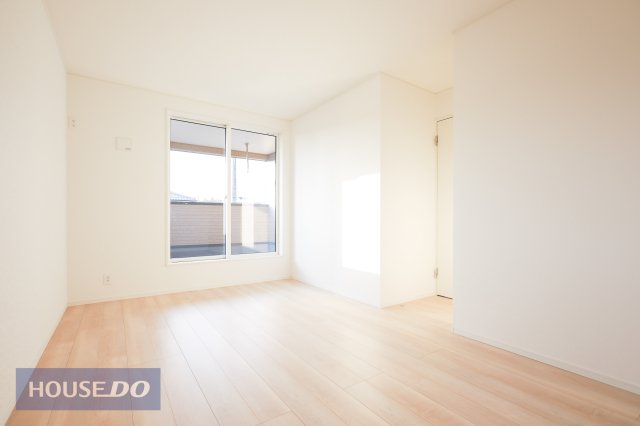 �Q�� �y�Q���z���n�����ʐ^�B���邢�̌��̓����Q���ł��B