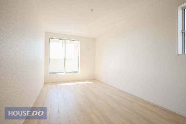 �Q�� �y�Q���z���n�����ʐ^�B���邢�̌��̓����Q���ł��B