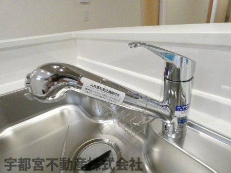 ���̑� �򐅊�t���V�����[�����i�ʐ^�͓��d�l�ʐ^�j