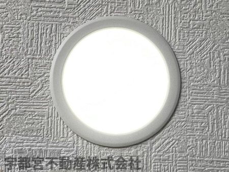 ���̑� LED�_�E�����C�g�i�ʐ^�͓��d�l�ʐ^�j