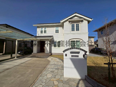 ���̑� ���̑�