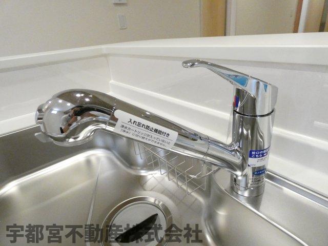 ���̑� �򐅊�t���V�����[�����i�ʐ^�͓��d�l�ʐ^�j