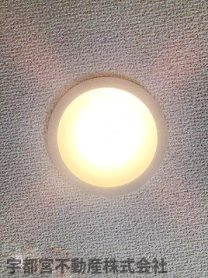 ���̑� �_�E�����C�g�i�ʐ^�͓��d�l�ʐ^�j