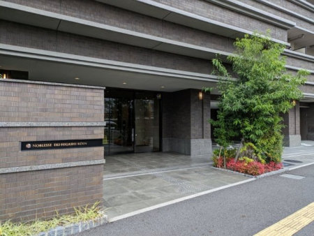 �G���g�����X �A�͂��������萮�����ꂽ�A���邢�G�g�����X�B