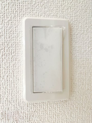 ���̑� �������C�h�X�C�b�`�i�ʐ^�͓��d�l�ʐ^�j