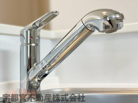 ���̑� �򐅊�t���V�����[�����i�ʐ^�͓��d�l�ʐ^�j