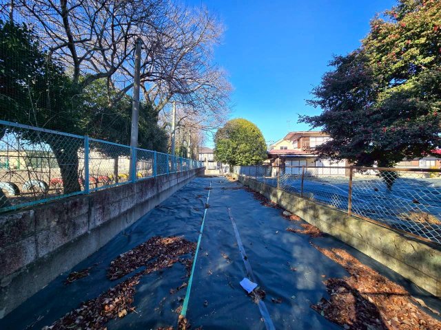 ���n�y�n�ʐ^ -