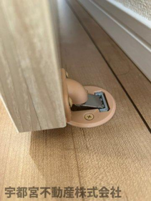 ���̑� �h�A�X�g�b�p�[�i�ʐ^�͓��d�l�ʐ^�j