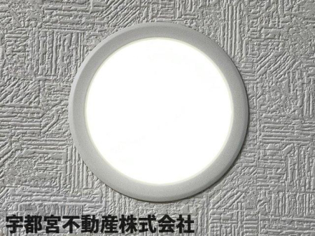 ���̑� LED�_�E�����C�g�i�ʐ^�͓��d�l�ʐ^�j