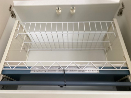 ���̑� ���~���݌˒I�i�ʐ^�͓��d�l�ʐ^�j