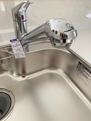 ���̑� �򐅊�t���V�����[�����i�ʐ^�͓��d�l�ʐ^�j