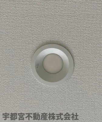 ���̑� �_�E�����C�g�i�ʐ^�͓��d�l�ʐ^�j