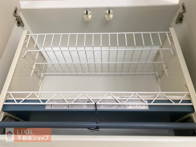 ���̑� ���~���݌˒I�i�ʐ^�͓��d�l�ʐ^�j