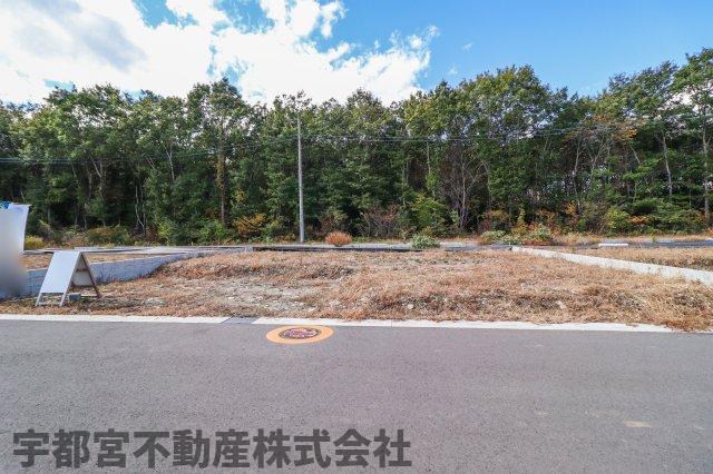 ���n�O�ώʐ^ �y���n�ʐ^�z���z���B