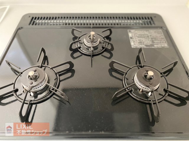 ���̑� �O���R�����i�ʐ^�͓��d�l�ʐ^�j