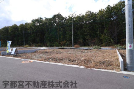 ���n�O�ώʐ^ �y���n�ʐ^�z���z���B