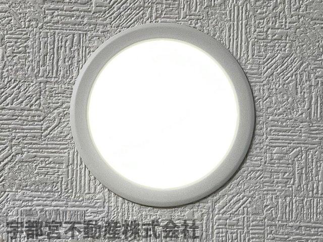 ���̑� LED�_�E�����C�g�i�ʐ^�͓��d�l�ʐ^�j