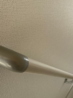 ���̑� �K�i�肷��i�ʐ^�͓��d�l�ʐ^�j