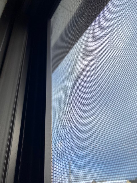 ���̑� �Ԍˁi�ʐ^�͓��d�l�ʐ^�j