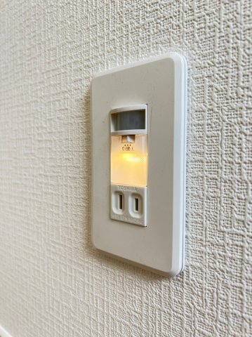 ���̑� �t�b�g���C�g�i�ʐ^�͓��d�l�ʐ^�j 