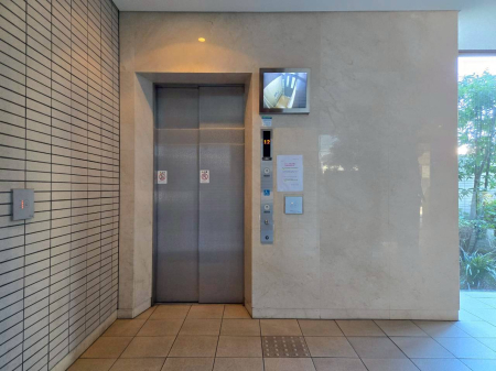 ���̑� ���p����