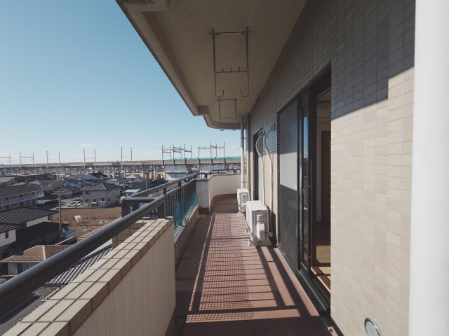 �o���R�j�[ ��������ǍD�@�i�FGOOD