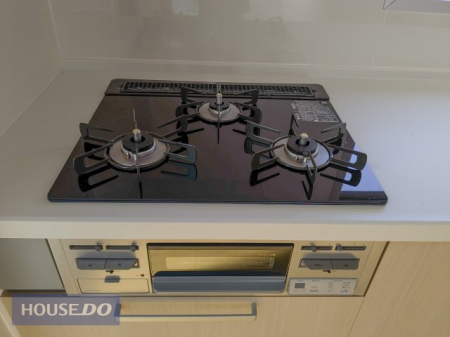 ���̑����� ���n�ʐ^