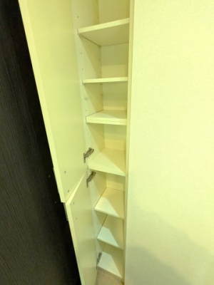 ���̑����� ���ʎ��̃��l���ɂł��B�^�I���⒅�ւ������[����̂ɂ��𗧂��ł�