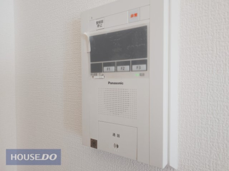 ���̑� ���̑�