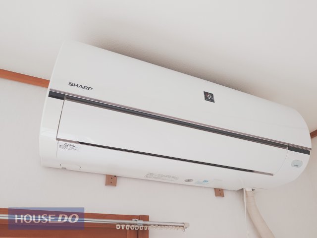 ���̑� ���̑�