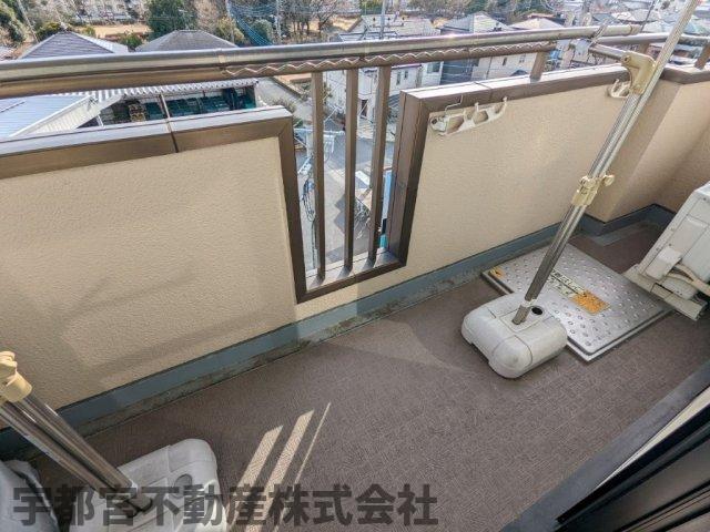 �o���R�j�[ �����̌���������₷���̂Ő��󕨂��������芣�������ł��B