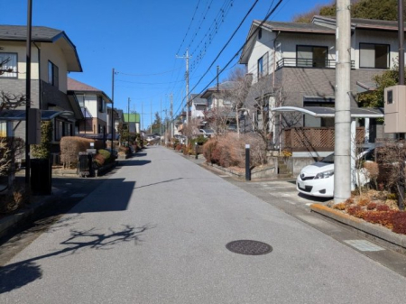 ���̑� ���Ԃ�؂�Ԃ����y�X�U�����H�ł���