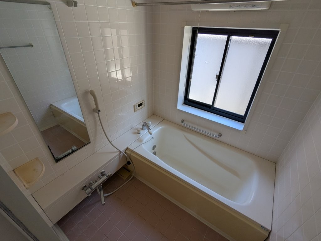 ���� �P���̔�ꂽ�̂������V�X�e���o�X�B����L�΂��ă����b�N�X��