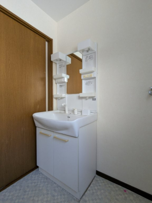 ���ʑ�E���ʏ� �傫�Ȑ��ʃ{�E���ƃn���h�V�����[�ŁA�����C�ɓ���Ȃ��Ă����ʑ�Ŏ�y�ɐ�����