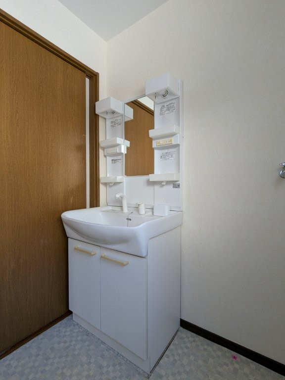 ���ʑ�E���ʏ� �傫�Ȑ��ʃ{�E���ƃn���h�V�����[�ŁA�����C�ɓ���Ȃ��Ă����ʑ�Ŏ�y�ɐ�����