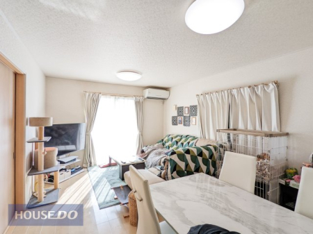 ���r���O 15.7���̍L�X�Ƃ���LDK�����͓I�I