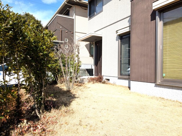 ���̑� ���n�ʐ^