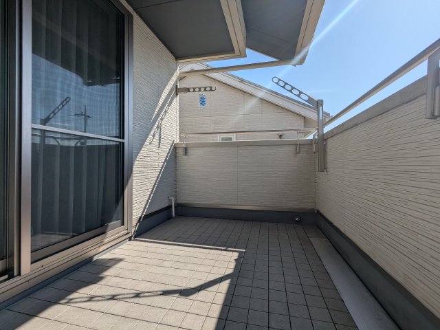 �o���R�j�[ ���n�ʐ^