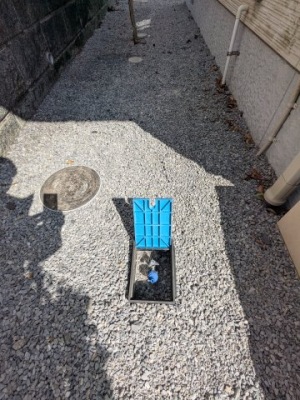 ���̑����� �O����2