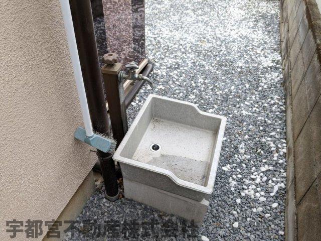 ���̑� ���̑�