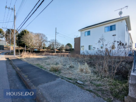 ���n�y�n�ʐ^ -