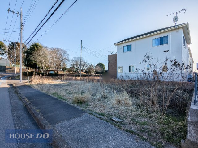 ���n�y�n�ʐ^ �l�C�̊p�n�@�����܂œk�����@�����̂��U���ɂ�good