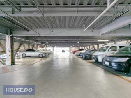 ���ԏ� �h���̓V�G�ł��钼�˓����i���O���j��_���J�A���̕��Q���V���b�g�A�E�g�B��Ԃ̎�Ԃ����炵�A���Ԃ̎��Y���l�𒷂��������ۂ��܂��B