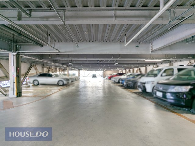 ���ԏ� �h���̓V�G�ł��钼�˓����i���O���j��_���J�A���̕��Q���V���b�g�A�E�g�B��Ԃ̎�Ԃ����炵�A���Ԃ̎��Y���l�𒷂��������ۂ��܂��B