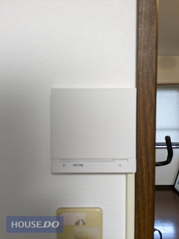 ���̑� ���g�[�S��������