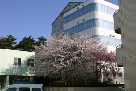 ���ӊ� �y���ȁz�V����a�@�܂�1609��